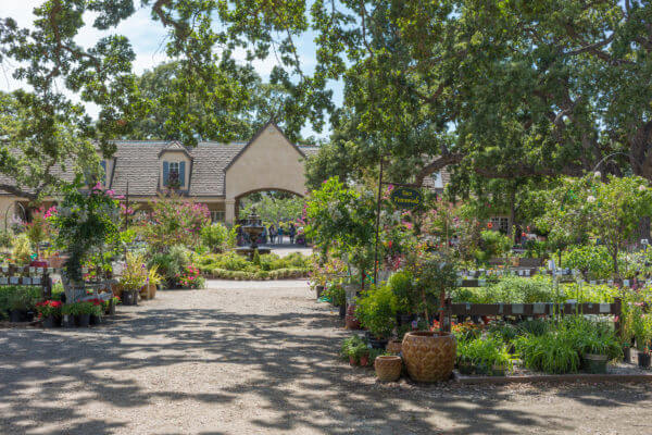 Top 10 Things to Do Beautiful House